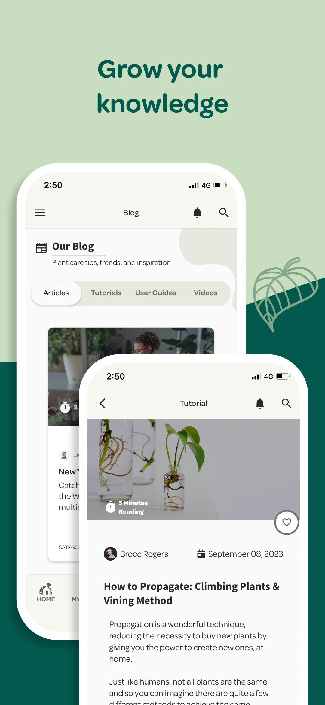 Willow screenshot