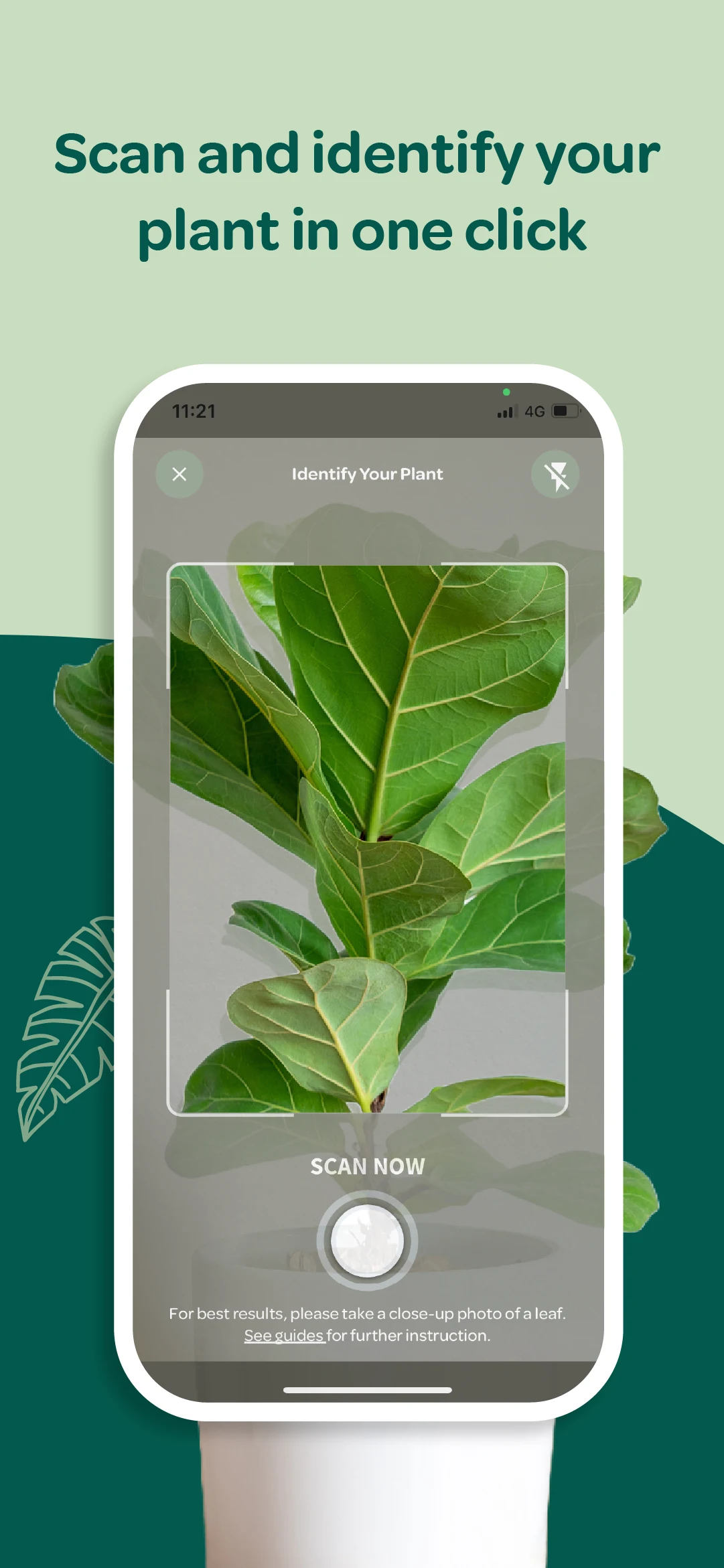 Willow screenshot